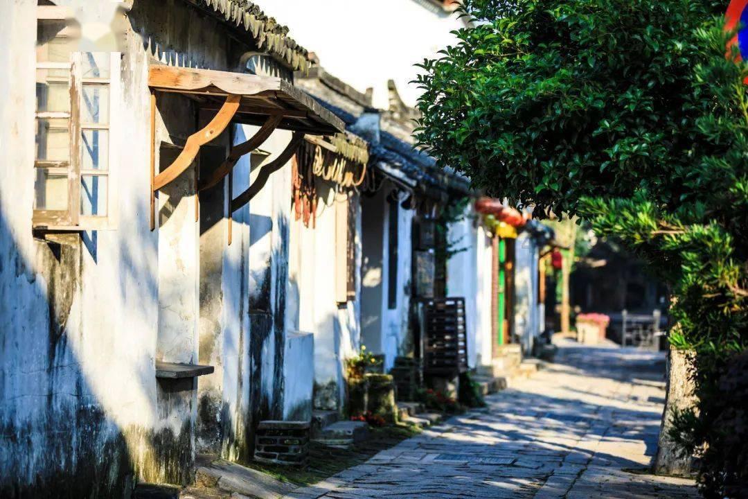 探寻用玉米怎么做发糕?